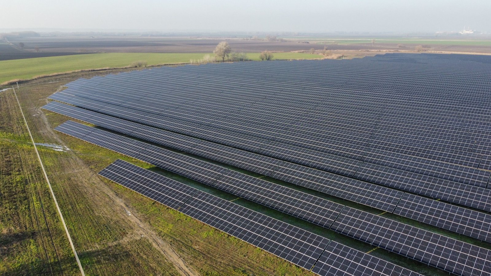 Solar Panels Can Share Farmland With Crops, But There Is a Hidden Problem Underground
